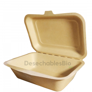 Contenedor Almeja 7''x5'' Biodegradable | Desechables Bio México