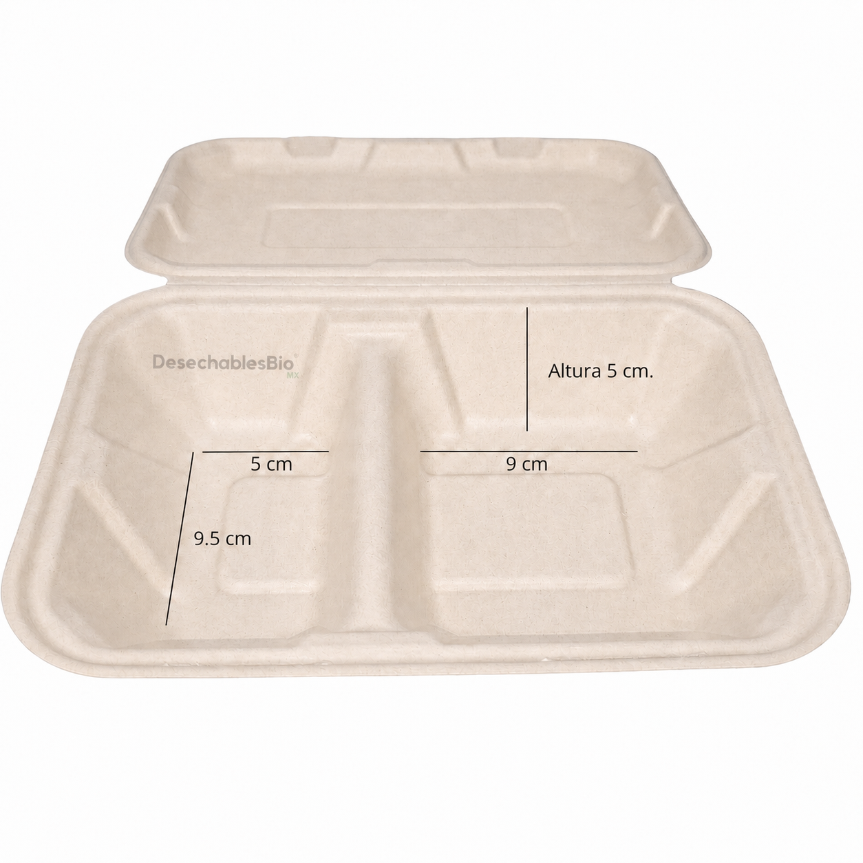 Desechables Bio México | Contenedor Almeja 9''x6'' con 2 Divisiones Biodegradable 8 Contenedor Almeja 9''x6'' con 2 Divisiones Biodegradable