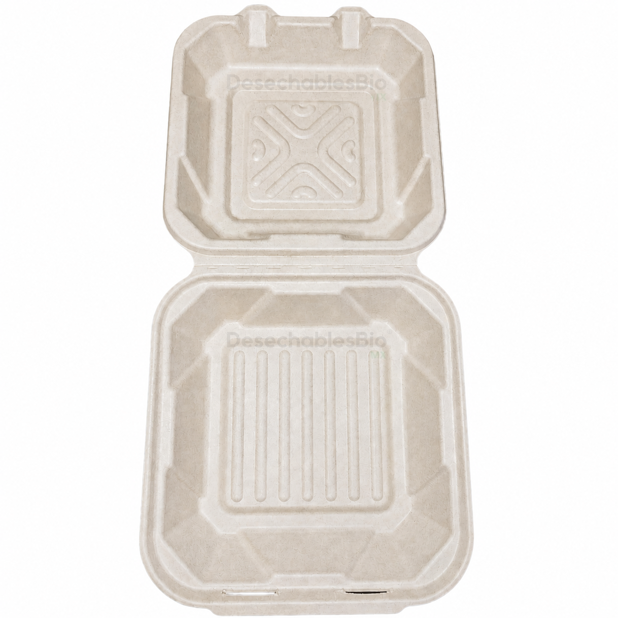 Desechables Bio México | Contenedor Almeja 8''x8'' liso Biodegradable 6 Contenedor Almeja 8''x8'' liso Biodegradable